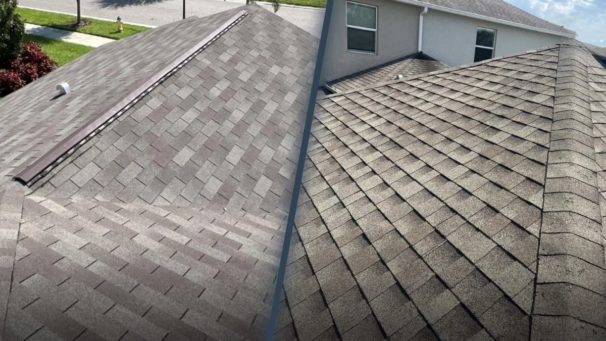 Designer Shingle Detail